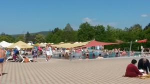 Perlička        